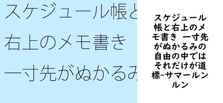 【サマールンルン】スケジュール帳と右上のメモ書き 一寸先がぬかるみの自由の中ではそれだけが道標【無料同人エロマンガ】